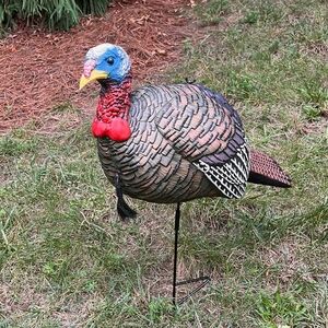 Ultra realistic Jake turkey decoy
